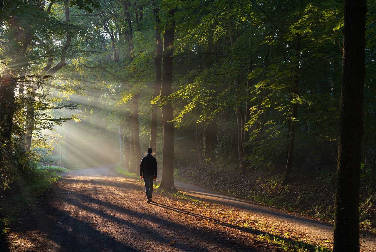 How Nature Supports Everyday Well-Being